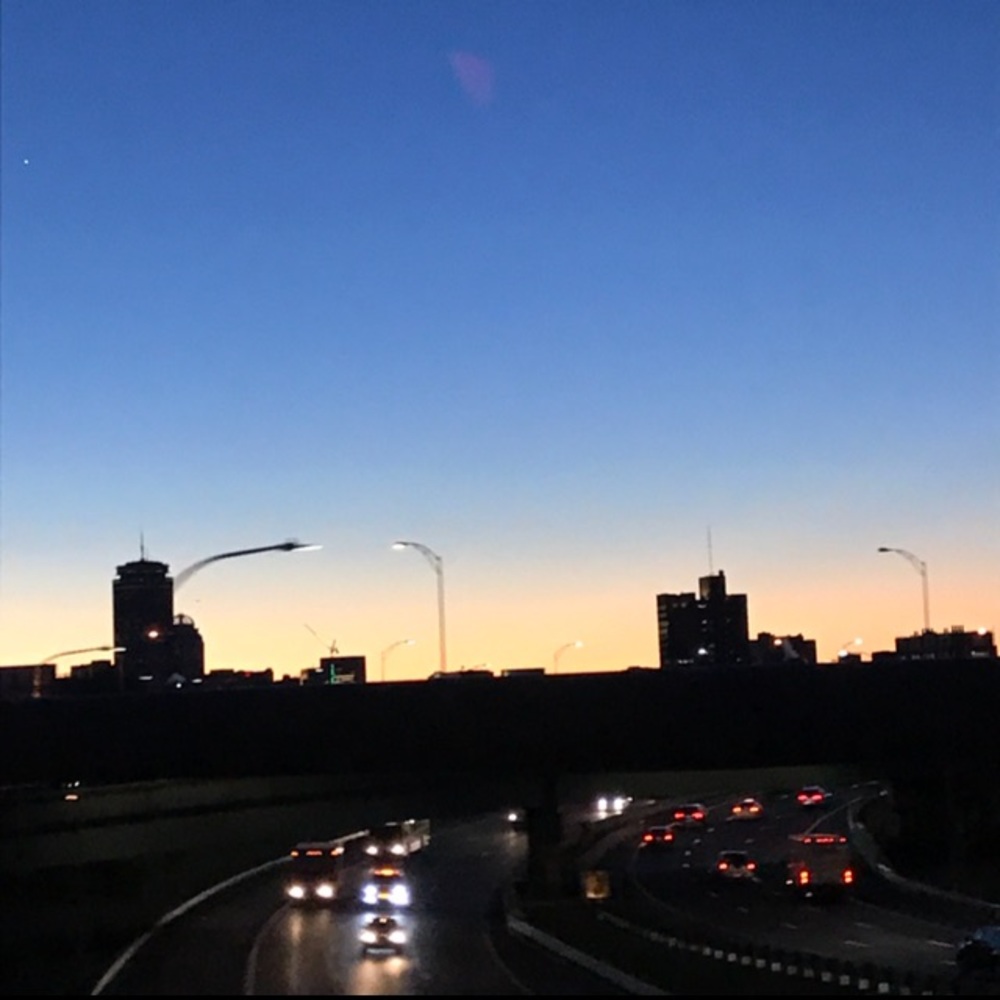 Meet your Posher, Lilly